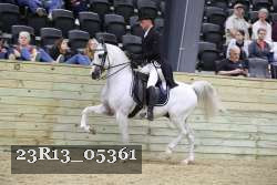 23R13_05361 thumbnail