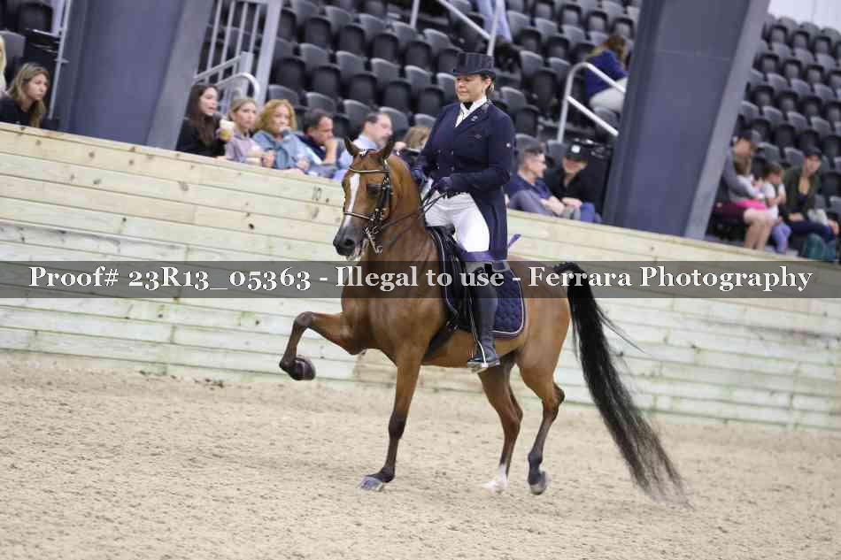 Proof Number 23R13_05363