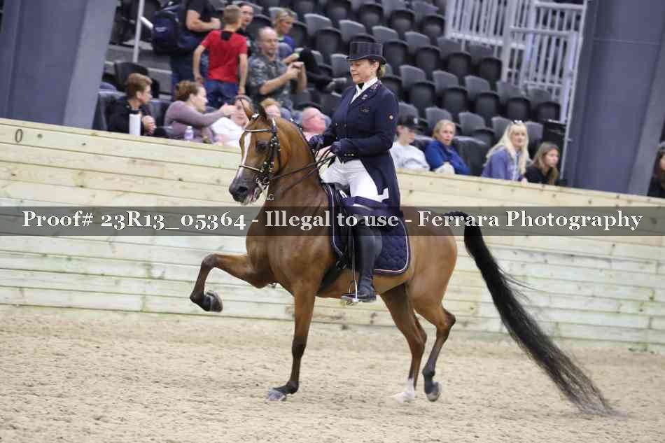 Proof Number 23R13_05364