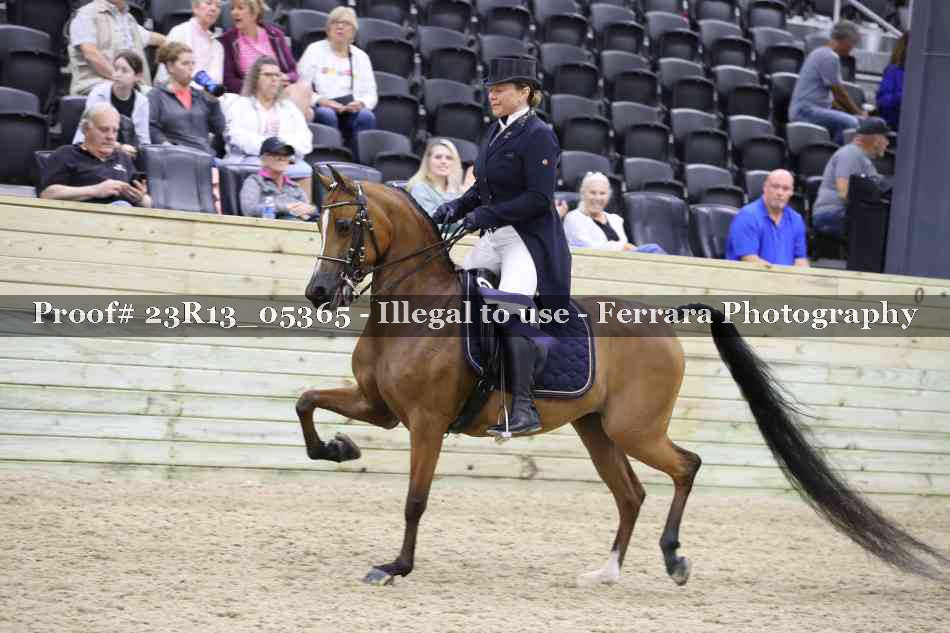Proof Number 23R13_05365