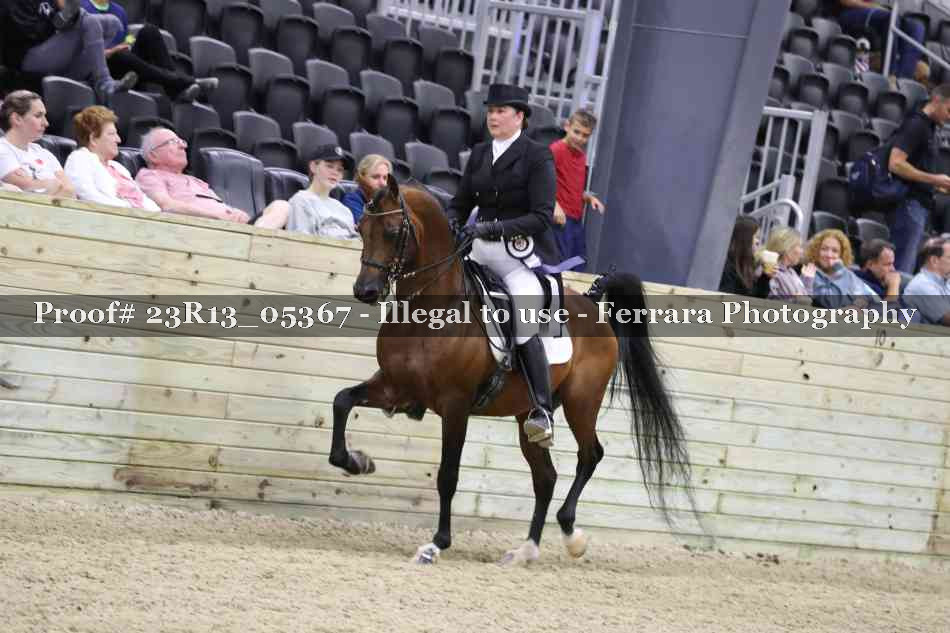 Proof Number 23R13_05367