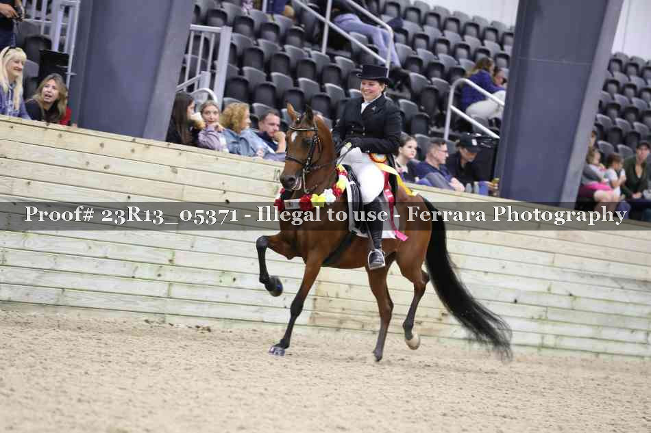 Proof Number 23R13_05371