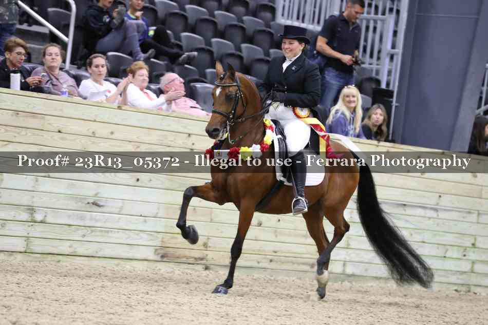 Proof Number 23R13_05372