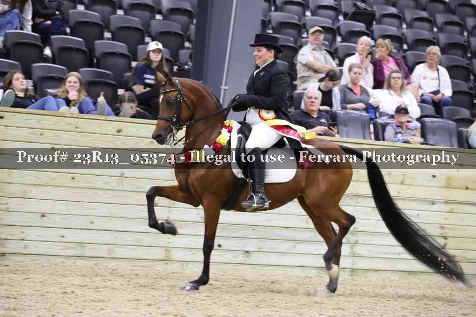 Proof Number 23R13_05374