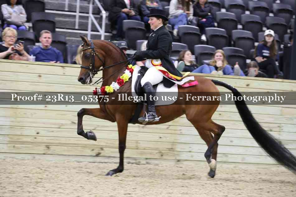 Proof Number 23R13_05375