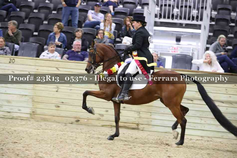 Proof Number 23R13_05376
