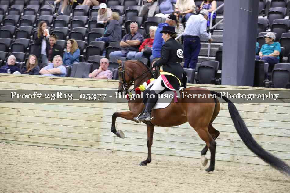 Proof Number 23R13_05377