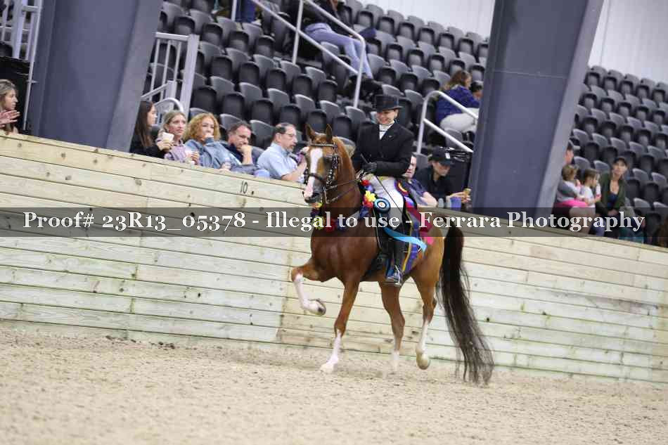 Proof Number 23R13_05378