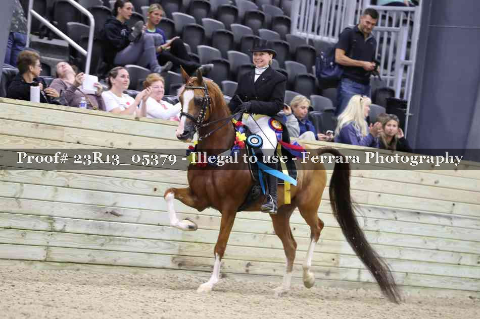 Proof Number 23R13_05379
