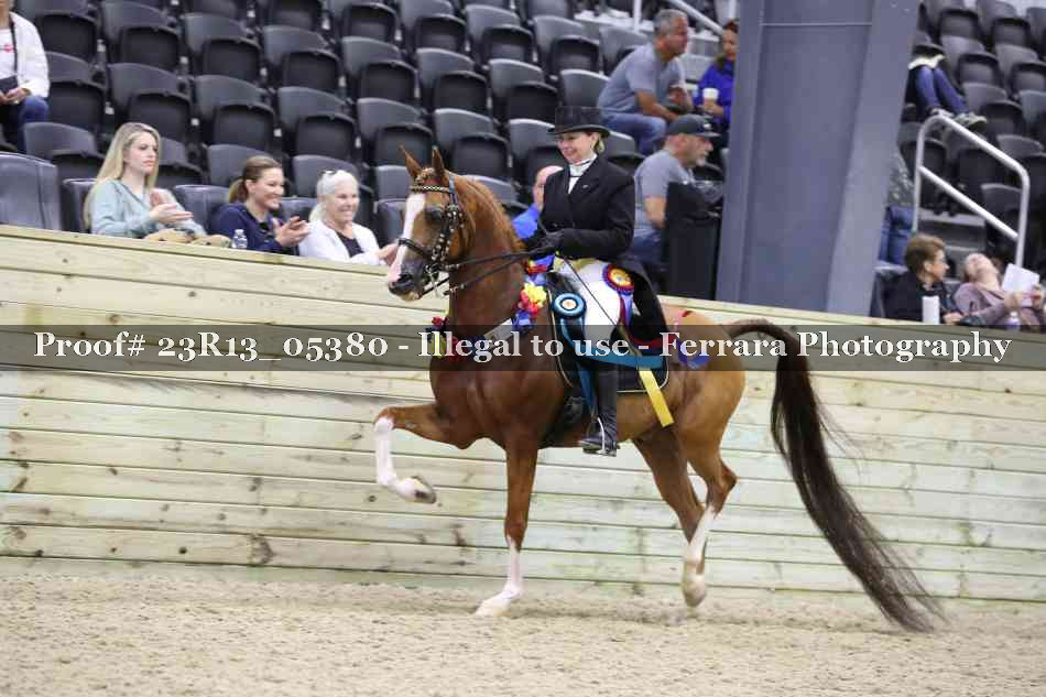 Proof Number 23R13_05380