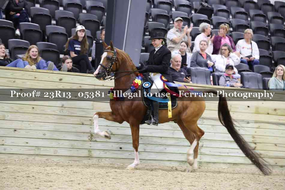 Proof Number 23R13_05381