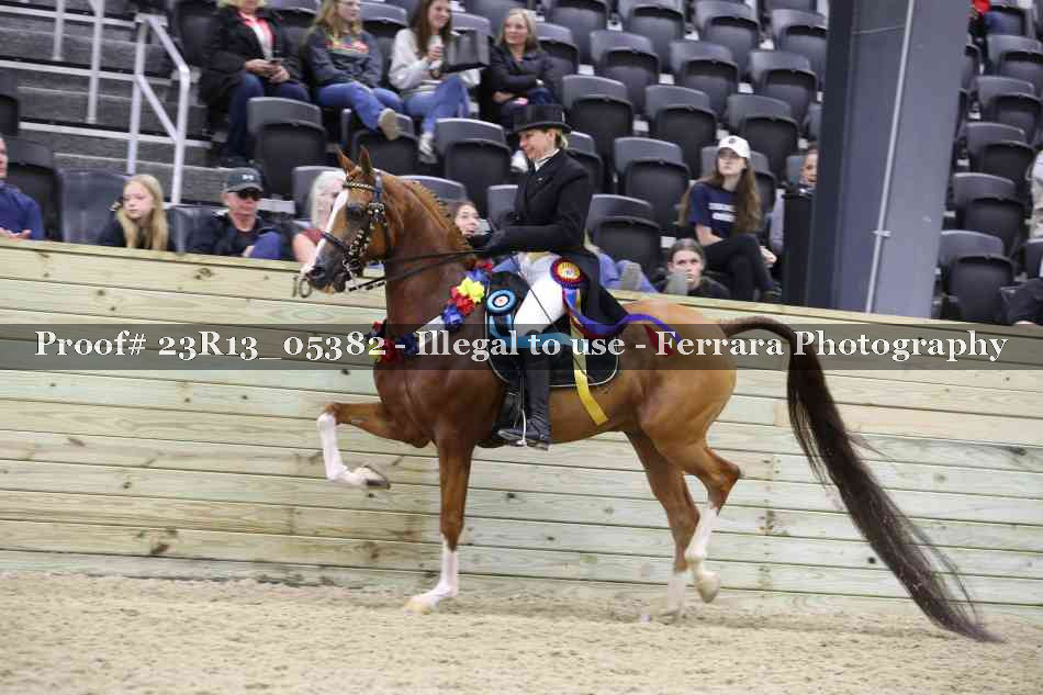 Proof Number 23R13_05382