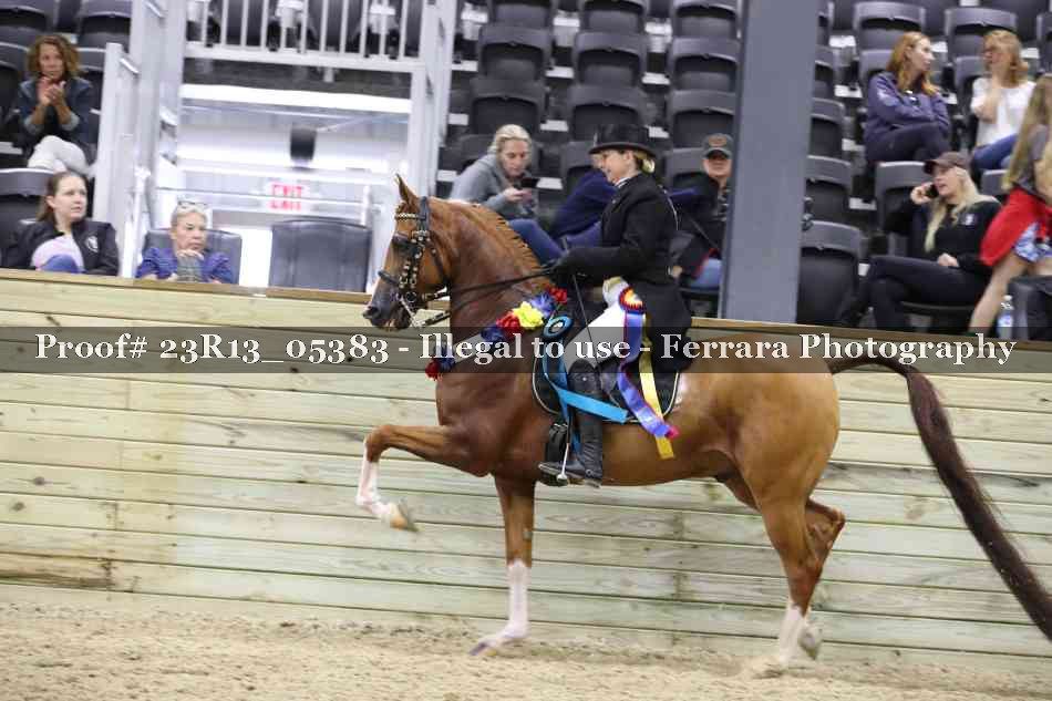 Proof Number 23R13_05383