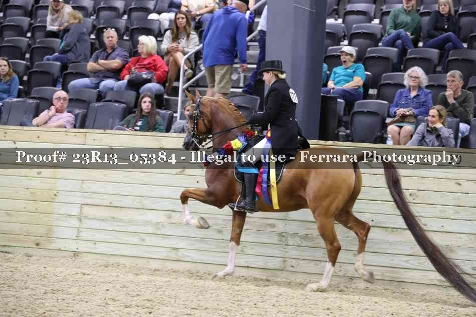 Proof Number 23R13_05384