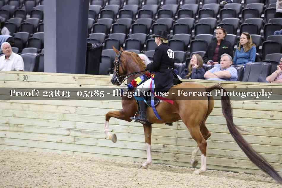 Proof Number 23R13_05385
