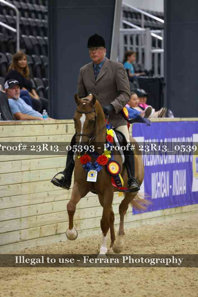 Proof Number 23R13_05393