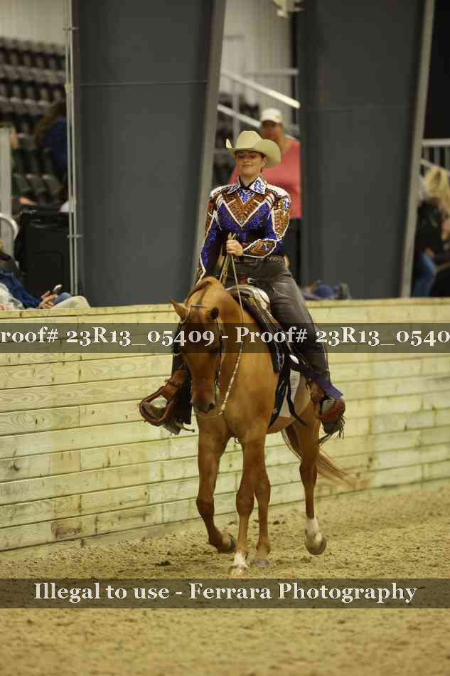 Proof Number 23R13_05409