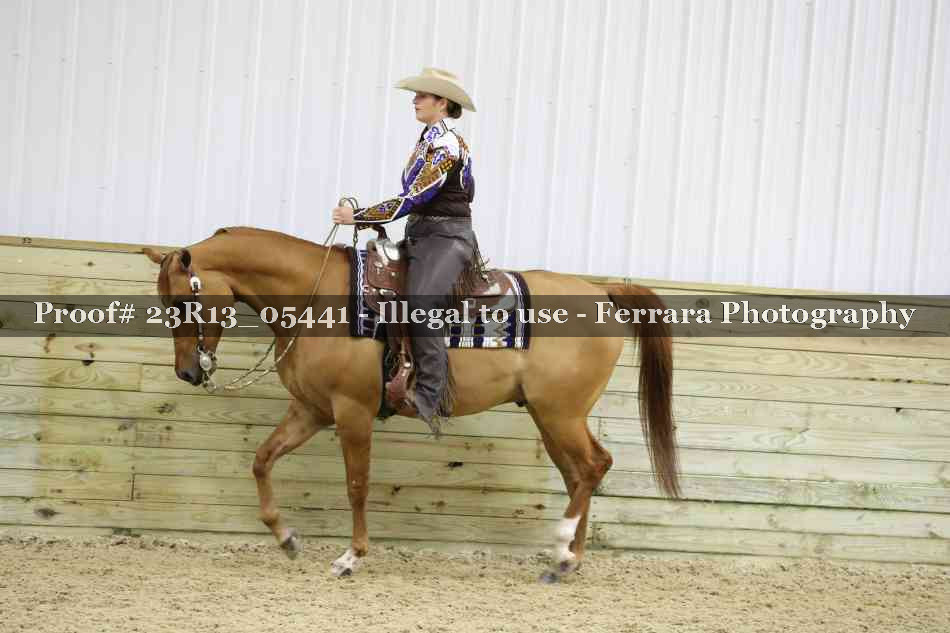 Proof Number 23R13_05441