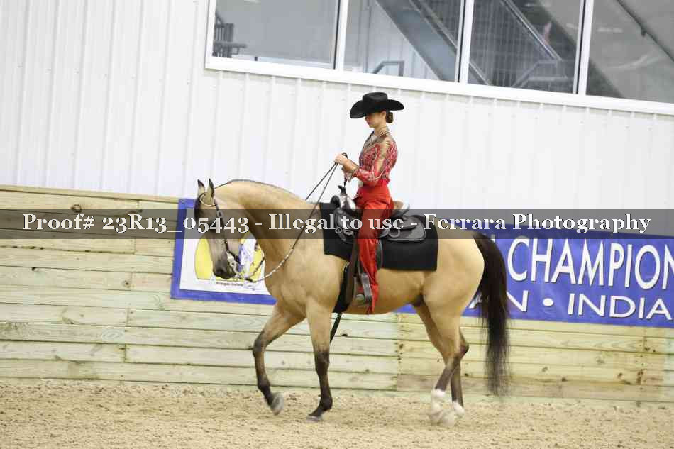 Proof Number 23R13_05443