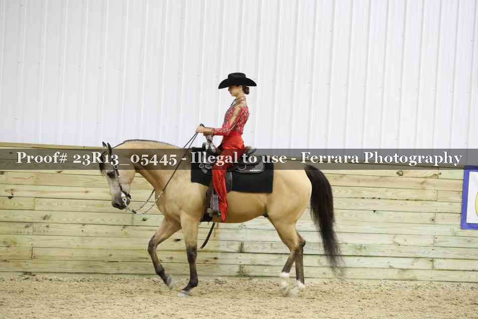 Proof Number 23R13_05445