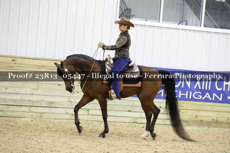 Proof Number 23R13_05447