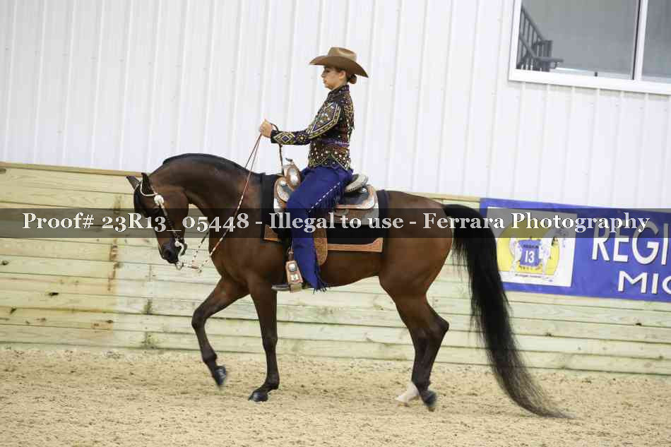 Proof Number 23R13_05448