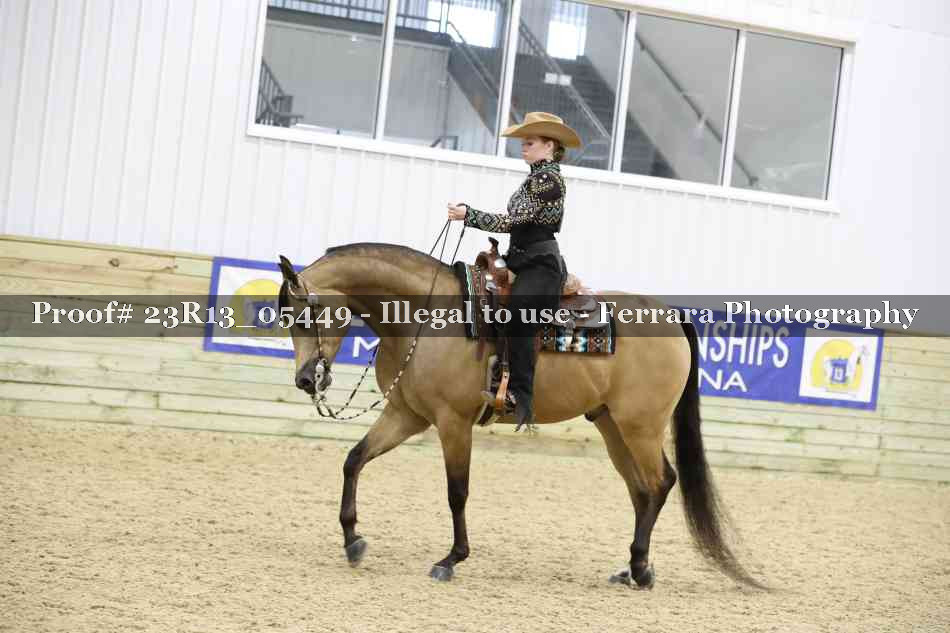 Proof Number 23R13_05449
