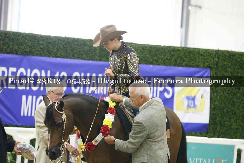 Proof Number 23R13_05453