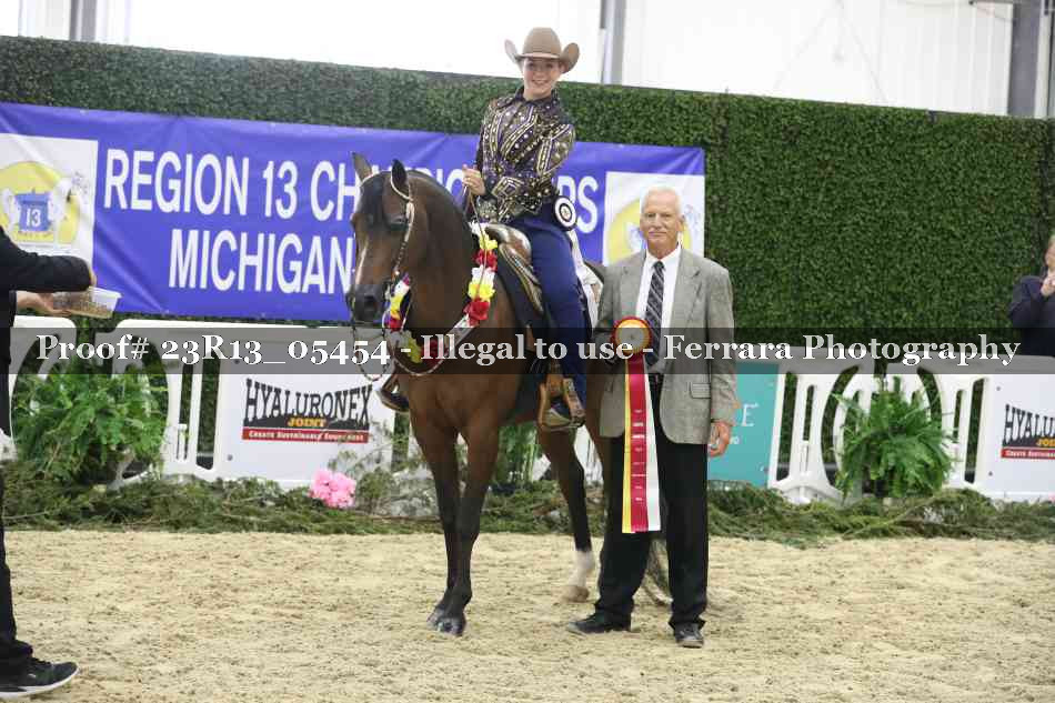 Proof Number 23R13_05454