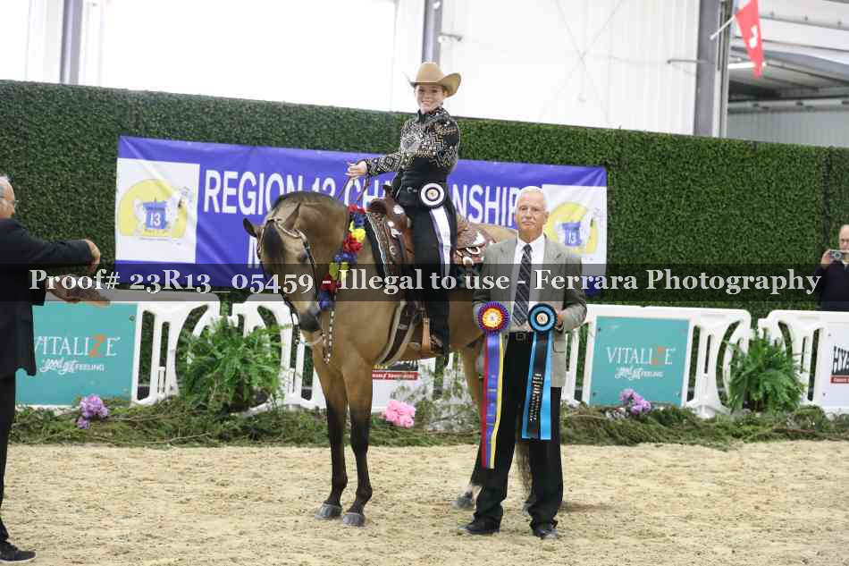 Proof Number 23R13_05459