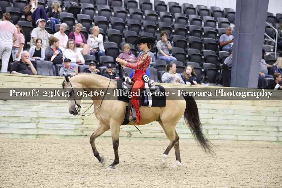 Proof Number 23R13_05466