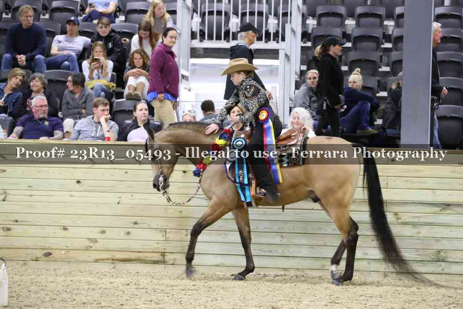 Proof Number 23R13_05493