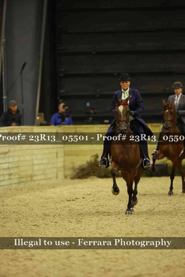 Proof Number 23R13_05501