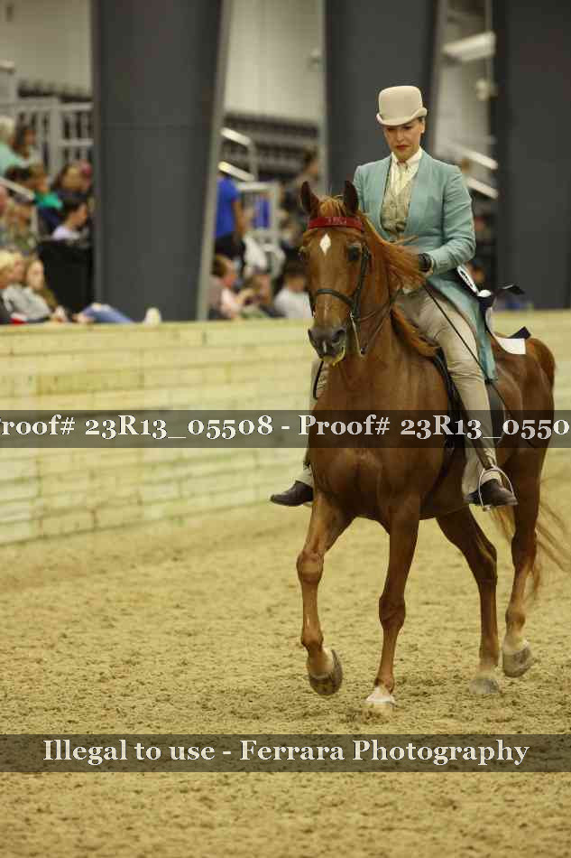 Proof Number 23R13_05508