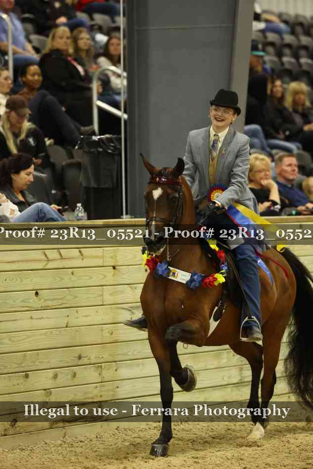 Proof Number 23R13_05521