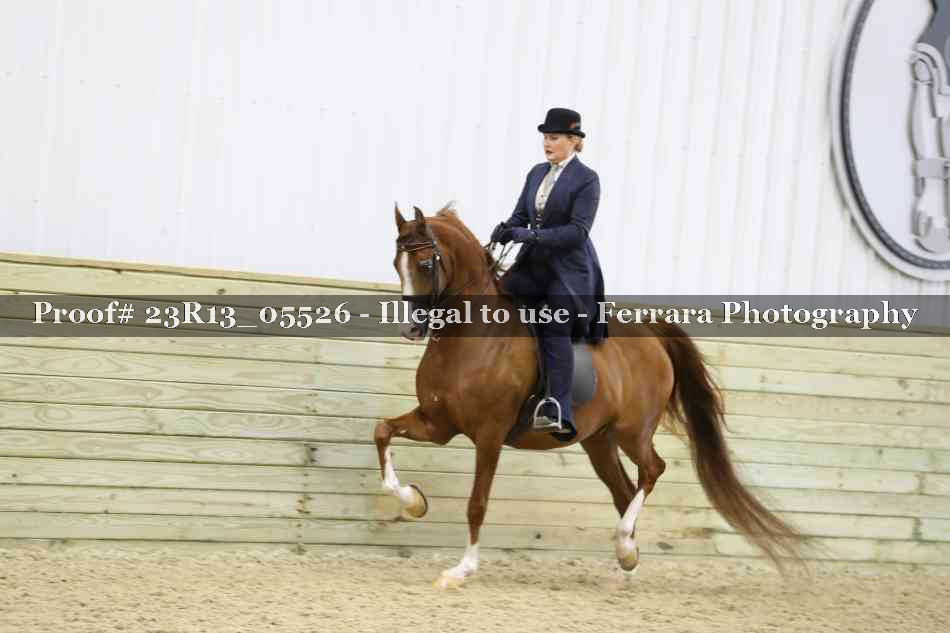 Proof Number 23R13_05526