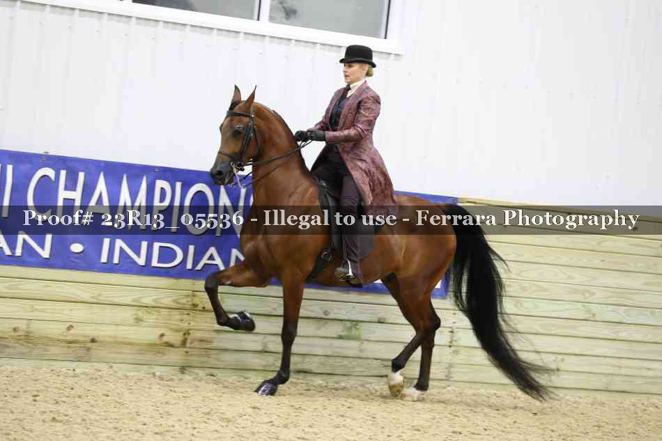 Proof Number 23R13_05536