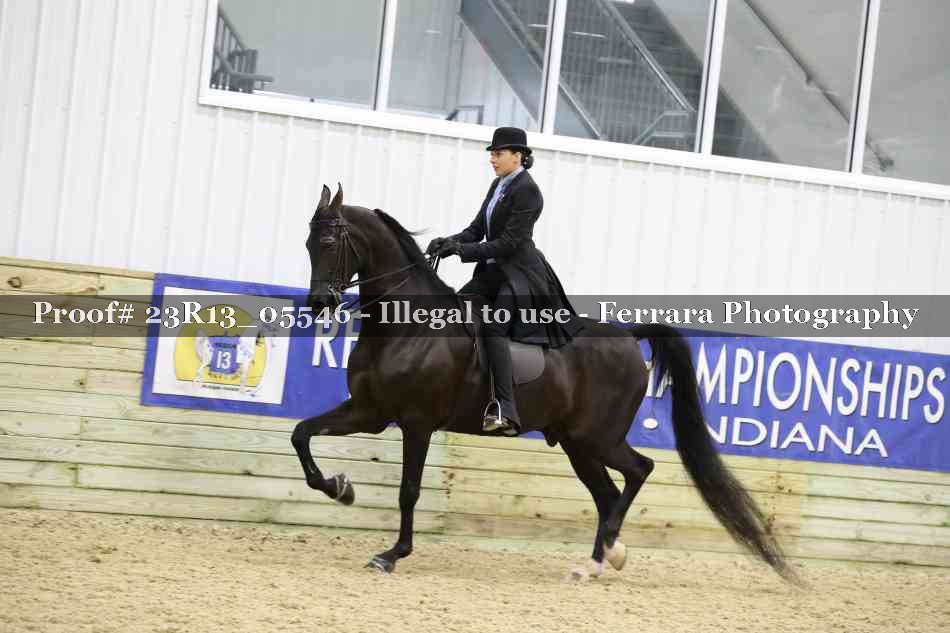 Proof Number 23R13_05546