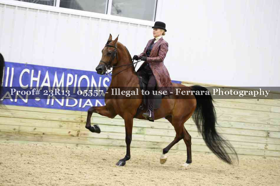 Proof Number 23R13_05557