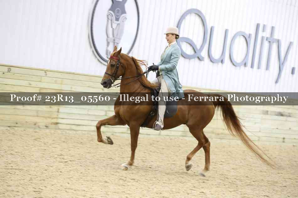 Proof Number 23R13_05560
