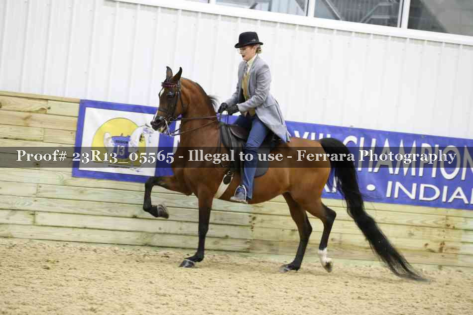 Proof Number 23R13_05565