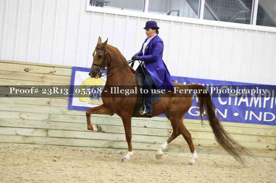 Proof Number 23R13_05568