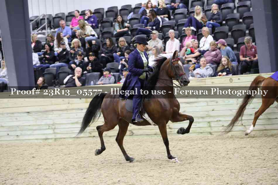 Proof Number 23R13_05577
