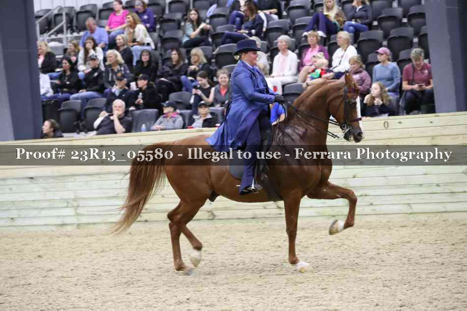 Proof Number 23R13_05580