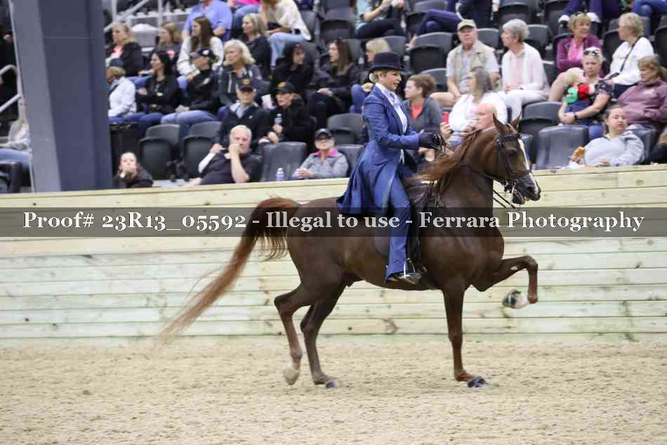Proof Number 23R13_05592