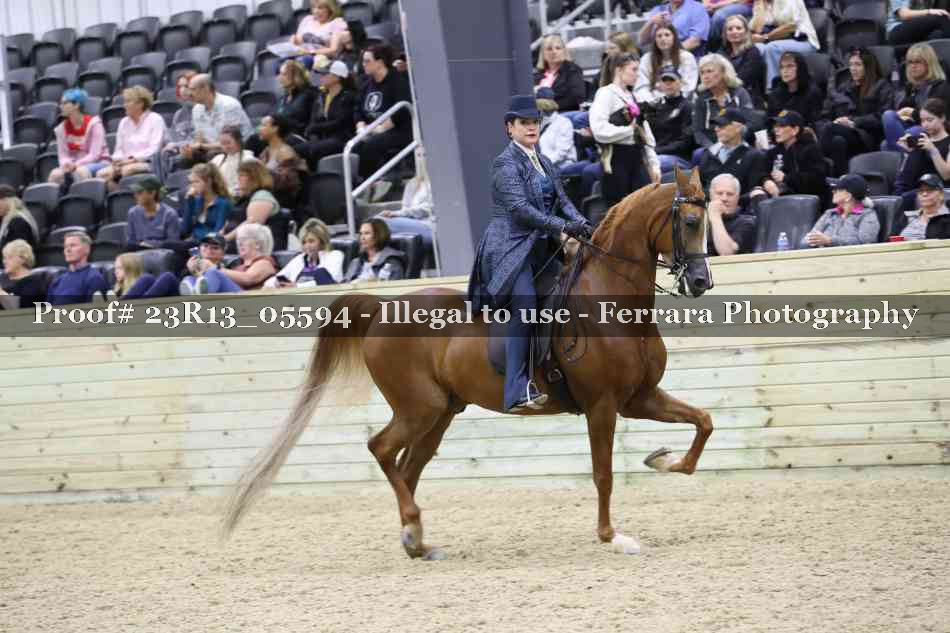 Proof Number 23R13_05594