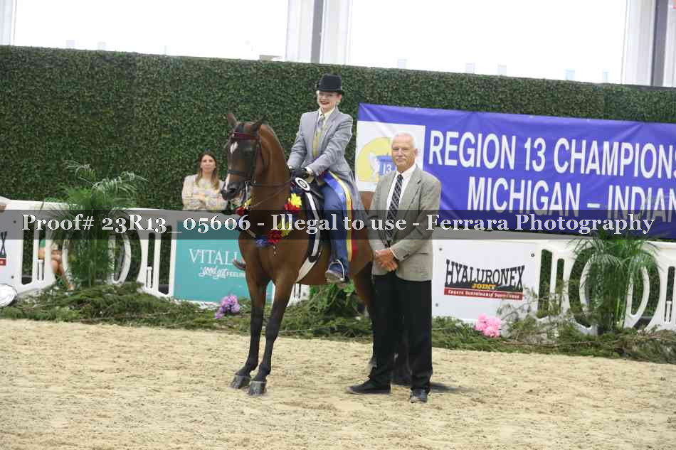 Proof Number 23R13_05606