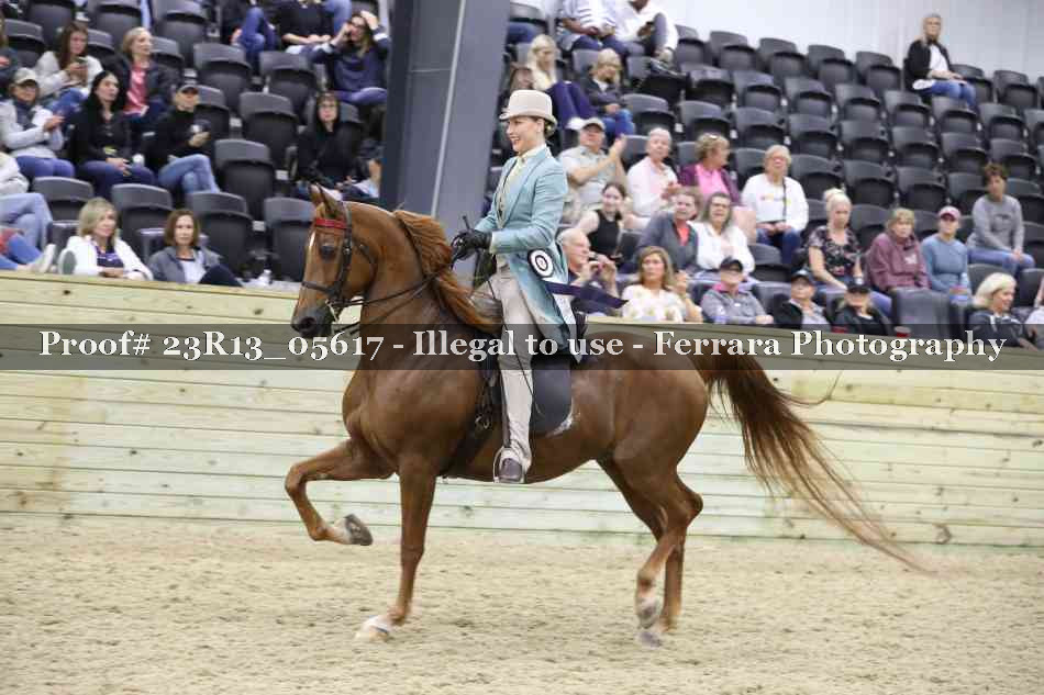 Proof Number 23R13_05617