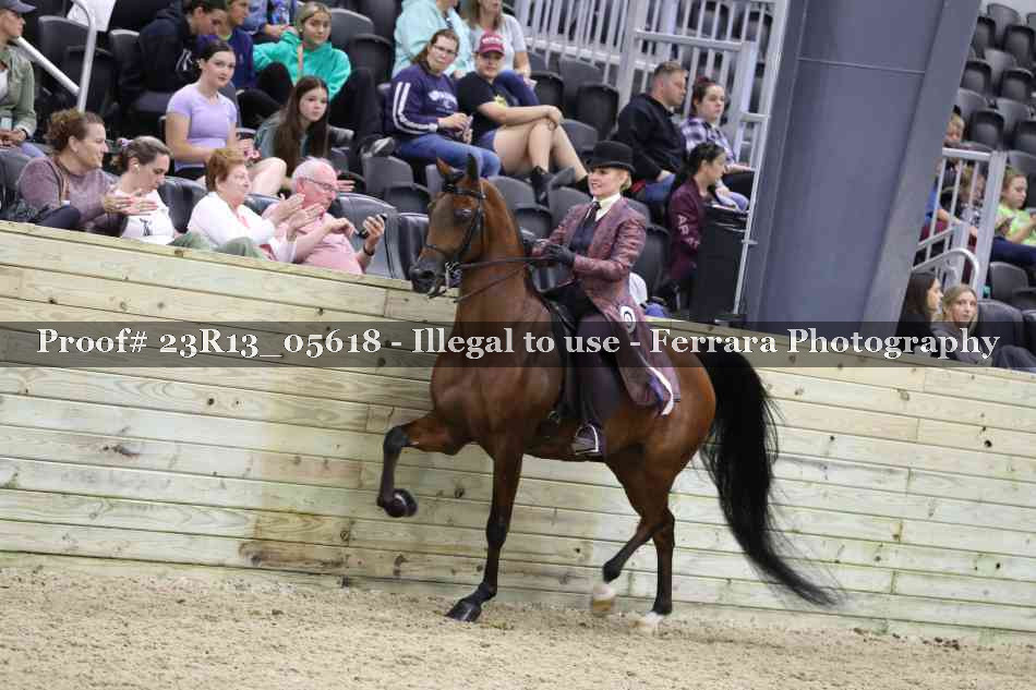 Proof Number 23R13_05618