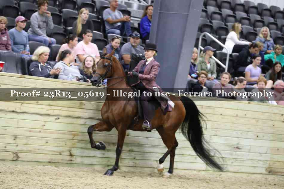 Proof Number 23R13_05619